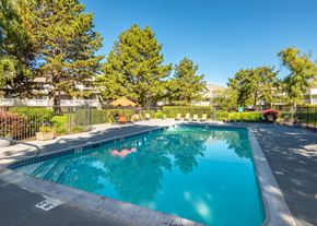 Vancouver apartment for rent - A person is swimming in a blue pool surrounded by trees and a fence at Aspenridge Apartments, WA 98683