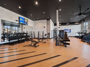 Superior apartment for rent - Fitness Studio equipped with weights and cardio equipment