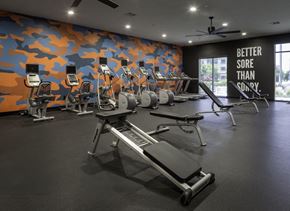 San Marcos apartment for rent - Fitness Center With Updated Equipment at Palomar Station, San Marcos, CA