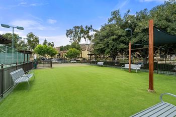 Private pet park & play area