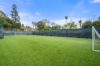 Community soccer field & activity court