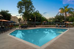 El Cajon apartment for rent - A large swimming pool surrounded by trees and lounge chairs.