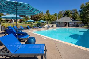 Beaverton apartment for rent - our resort style swimming pool with blue chairs and umbrellas