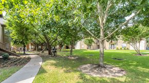 Baytown apartment for rent - A tree in a grassy area in front of a building.