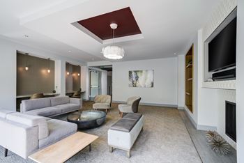 Conference room and coworking areas