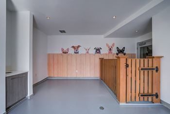 Pet wash and indoor pet relief area