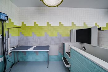 Pet wash and indoor pet relief area