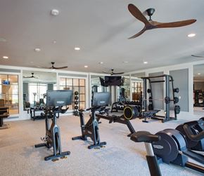 Charleston apartment for rent - a gym with weights and cardio equipment in a home gym
