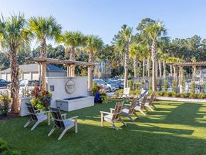 Charleston apartment for rent - a row of lawn chairs in front of a pool and palm trees