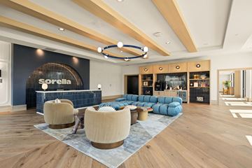 Charlotte apartment for rent - A modern living room with a blue sofa and wooden floors.