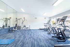 San Jose apartment for rent - A gym with a blue carpet and various exercise machines.