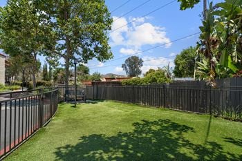 Dog run & pet play area