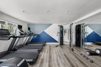 Modern fitness center
