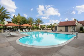 Santee apartment for rent - A large swimming pool surrounded by lounge chairs and palm trees.