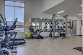 Heber apartment for rent - A gym with a variety of equipment including treadmills, weights, and yoga balls with lots of space to move!