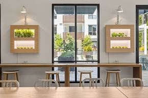 Mountain View apartment for rent - A modern dining area with wooden tables and chairs.