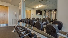 Richmond apartment for rent - A gym with a row of black dumbbells on a rack.