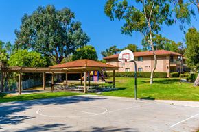 Vista apartment for rent - A basketball court is surrounded by a grassy area and trees.