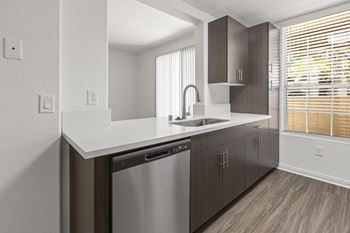 The renovated kitchen in a new home with a sink and dishwasher