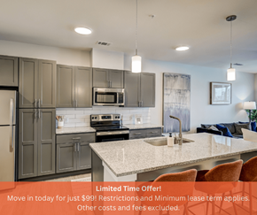 Baton Rouge apartment for rent - A kitchen with a countertop and a refrigerator is on sale for $99.
