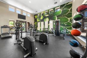 Chandler apartment for rent - Gym at Stonebridge Ranch Apartments, Chandler