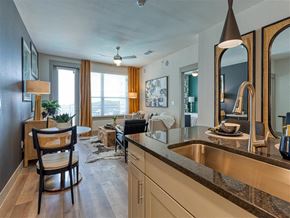 Austin apartment for rent - Kitchen