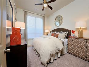 Houston apartment for rent - Bedroom