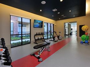 Houston apartment for rent - Gym