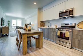 Fremont apartment for rent - kitchen style 2