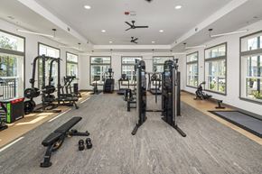 Villa Rica apartment for rent - Gym with weights at The Dorsey by Alta, Villa Rica