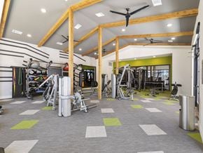 Leander apartment for rent - the gym at the flats at big tex apartments
