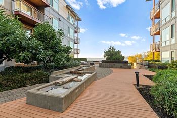 Zen garden