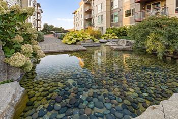 Zen garden