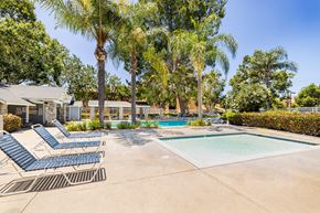 Ontario apartment for rent - pool deck with lounge chairs and palm trees