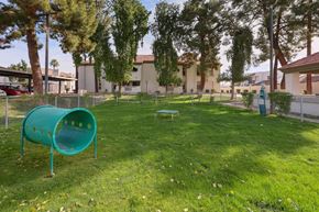 Mesa apartment for rent - A playground with a green slide in the middle of a grassy area.