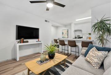Phoenix apartment for rent - A living room with a grey couch, a wooden table, and a television on a white stand.