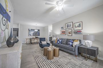 Atlanta apartment for rent - A living room with a grey couch and a striped rug.