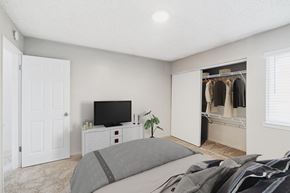Santa Rosa apartment for rent - A bedroom with a bed, a television, and a closet.