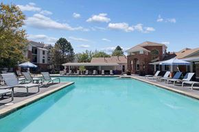Glendale apartment for rent - A large swimming pool surrounded by lounge chairs and umbrellas.