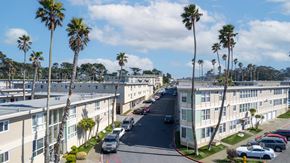 Daly City apartment for rent - a view of a street in oceanside with palm trees on both sides of the street