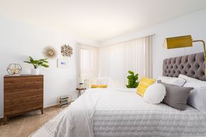 Daly City apartment for rent - a bedroom with white walls and a large bed