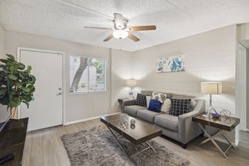 Tempe apartment for rent - A living room with a grey couch and a ceiling fan.