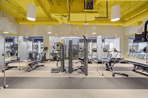 Los Angeles apartment for rent - Gym with cardio and weights at Wilshire Vermont, Los Angeles, California