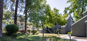 Walnut Creek apartment for rent - A modern house surrounded by trees.