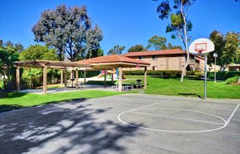 Basketball court