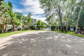 Reedhouse - volleyball court