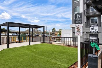 Pet park