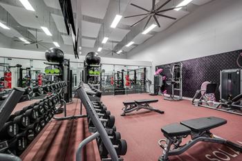 Gym equipped with weights and cardio equipment