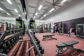 Gym equipped with weights and cardio equipment