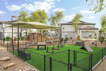 Expansive dog park with agility equipment – we love pets!*